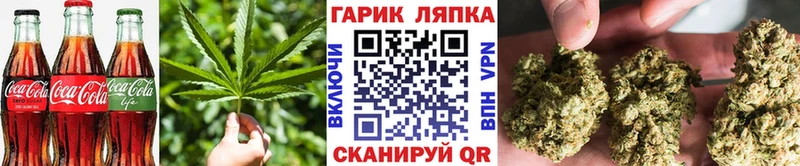 как найти   Гвардейск  Canna-Cookies марихуана 